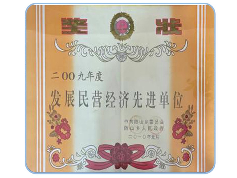 發(fā)展民營經濟先進單位